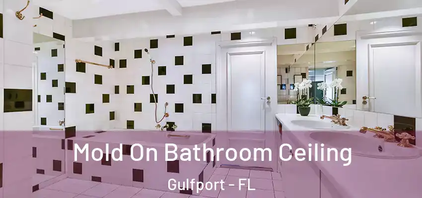  Mold On Bathroom Ceiling Gulfport - FL