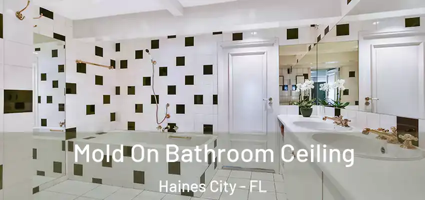  Mold On Bathroom Ceiling Haines City - FL