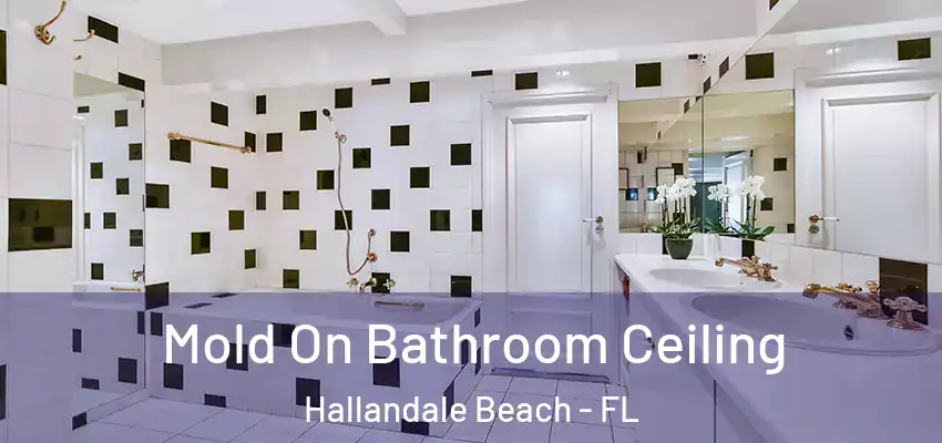  Mold On Bathroom Ceiling Hallandale Beach - FL