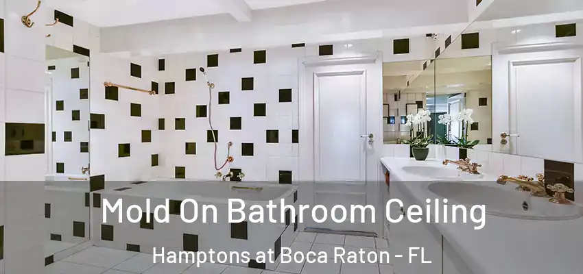  Mold On Bathroom Ceiling Hamptons at Boca Raton - FL