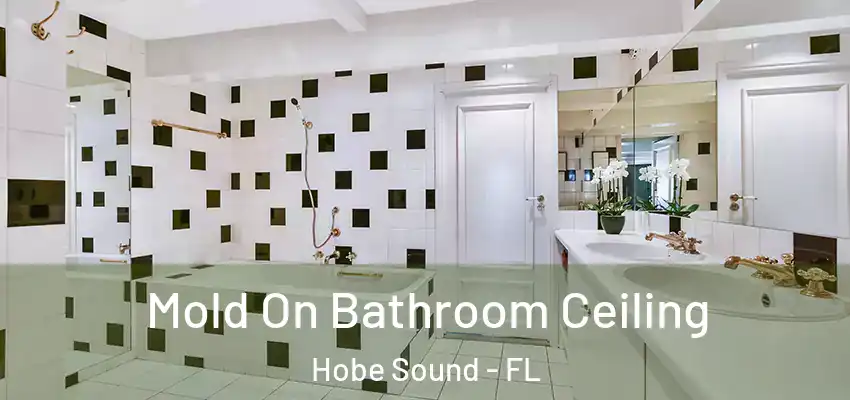 Mold On Bathroom Ceiling Hobe Sound - FL