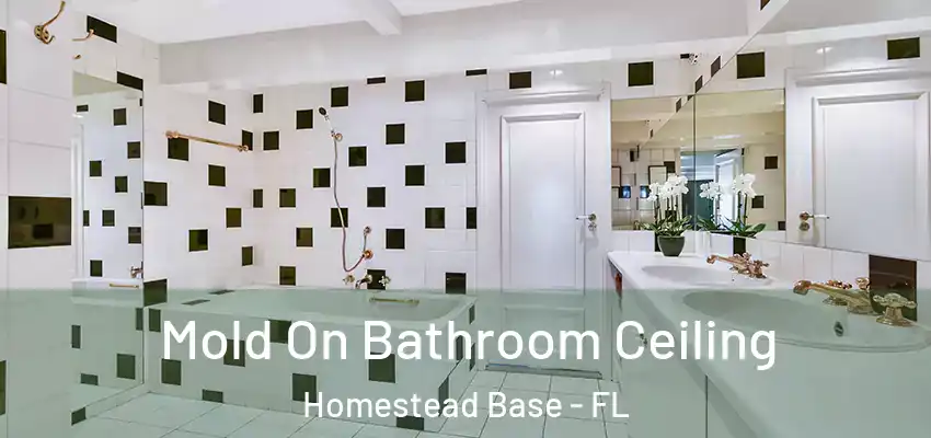  Mold On Bathroom Ceiling Homestead Base - FL