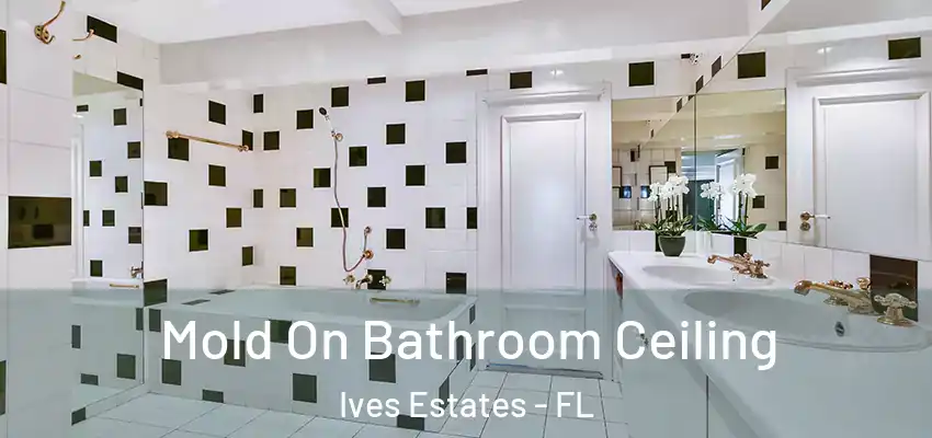 Mold On Bathroom Ceiling Ives Estates - FL