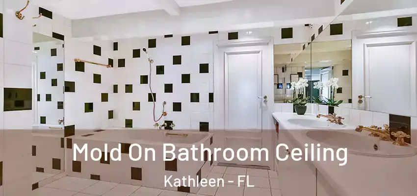  Mold On Bathroom Ceiling Kathleen - FL