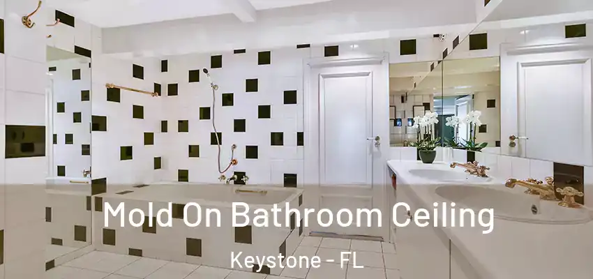 Mold On Bathroom Ceiling Keystone - FL