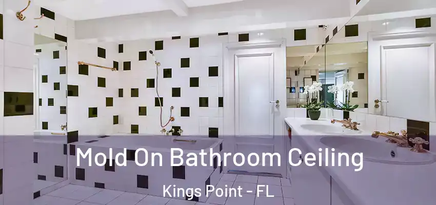 Mold On Bathroom Ceiling Kings Point - FL