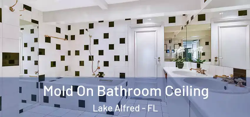  Mold On Bathroom Ceiling Lake Alfred - FL