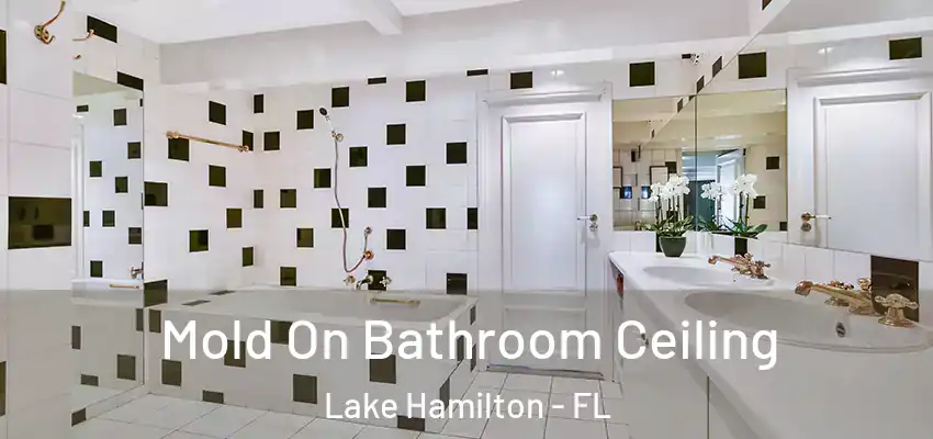  Mold On Bathroom Ceiling Lake Hamilton - FL