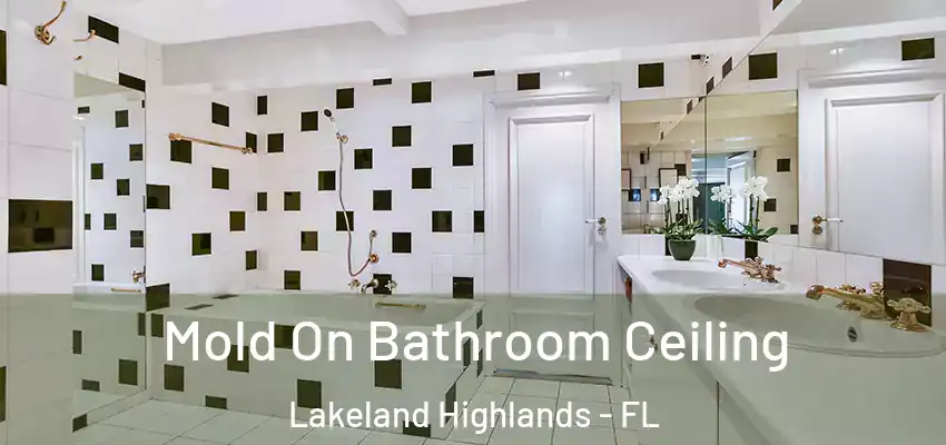 Mold On Bathroom Ceiling Lakeland Highlands - FL