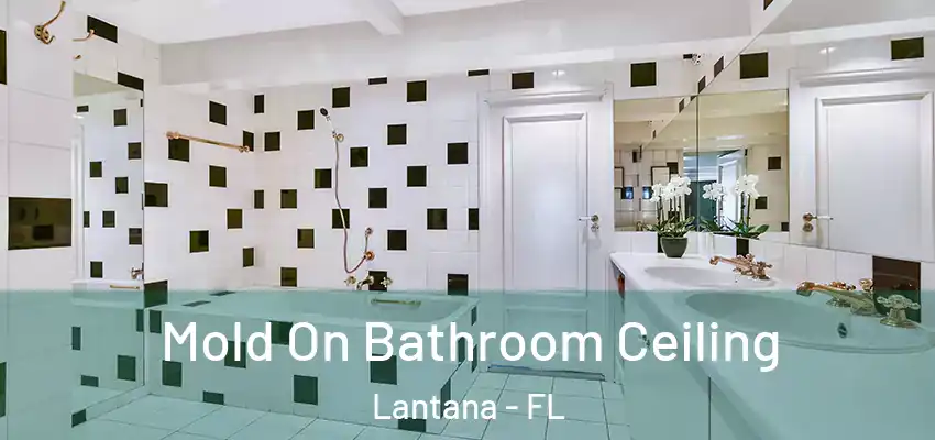 Mold On Bathroom Ceiling Lantana - FL