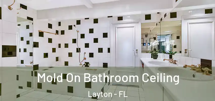  Mold On Bathroom Ceiling Layton - FL