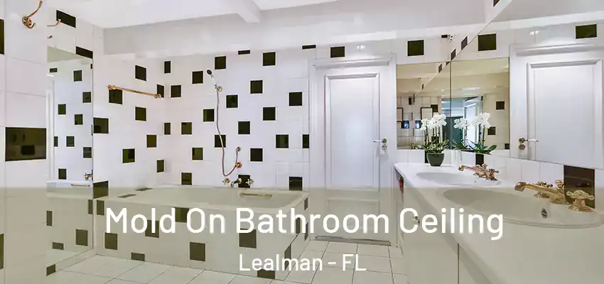 Mold On Bathroom Ceiling Lealman - FL