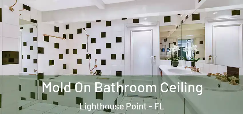 Mold On Bathroom Ceiling Lighthouse Point - FL