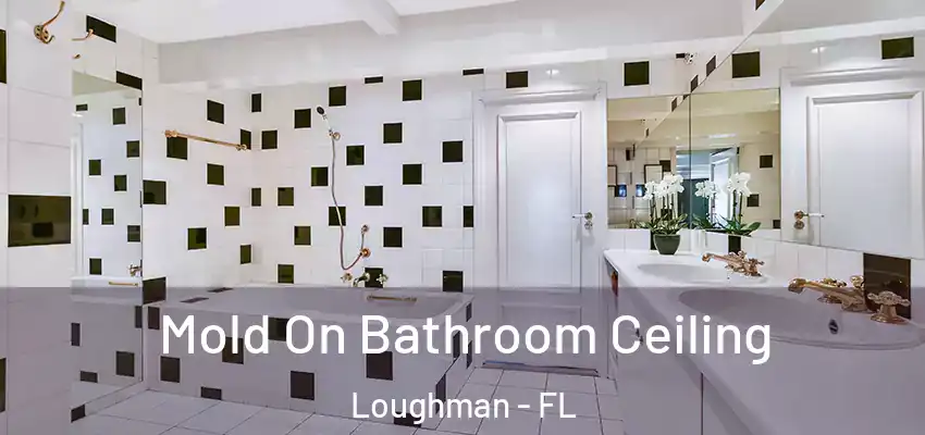  Mold On Bathroom Ceiling Loughman - FL