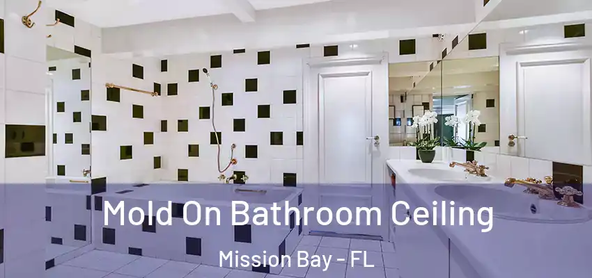  Mold On Bathroom Ceiling Mission Bay - FL