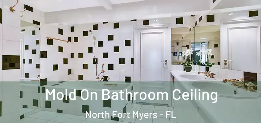 Mold On Bathroom Ceiling North Fort Myers - FL