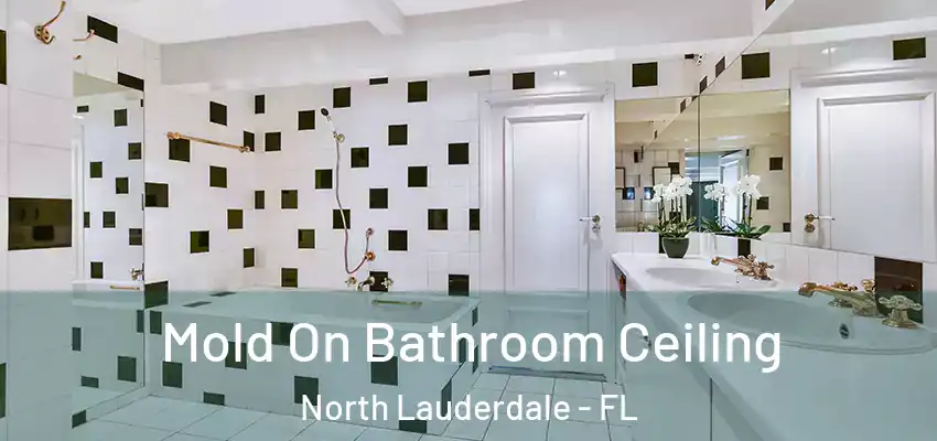 Mold On Bathroom Ceiling North Lauderdale - FL