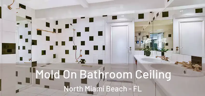 Mold On Bathroom Ceiling North Miami Beach - FL
