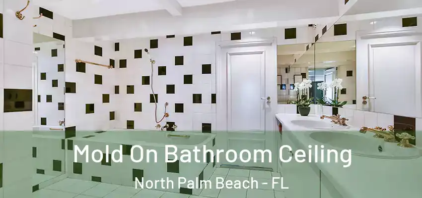  Mold On Bathroom Ceiling North Palm Beach - FL