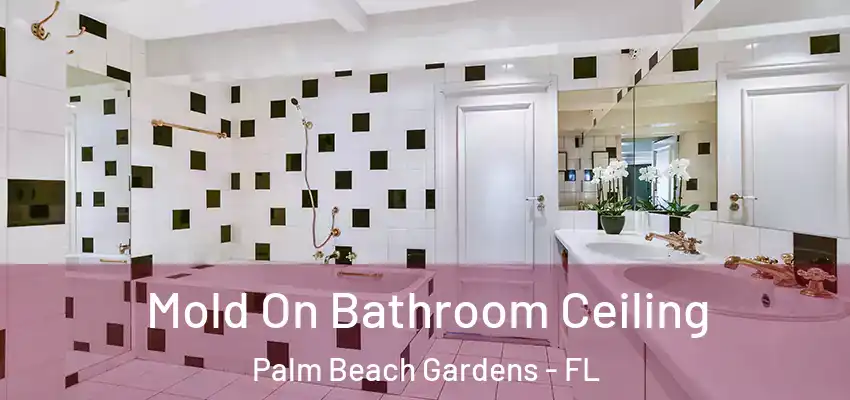  Mold On Bathroom Ceiling Palm Beach Gardens - FL