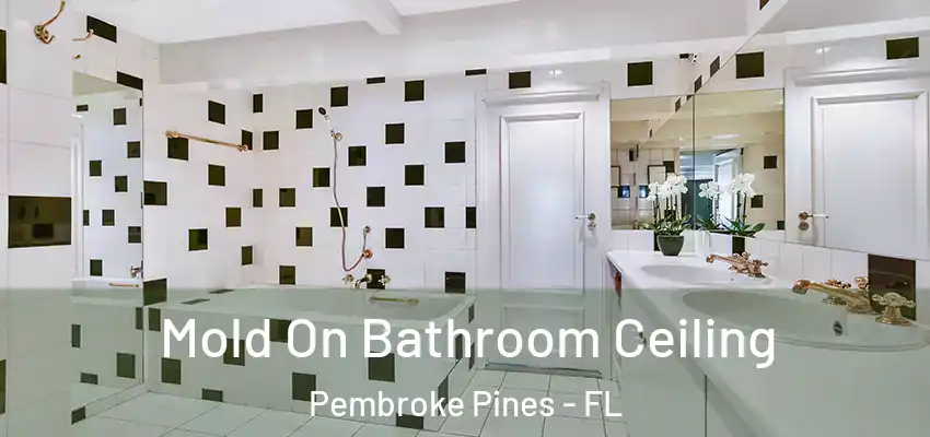 Mold On Bathroom Ceiling Pembroke Pines - FL