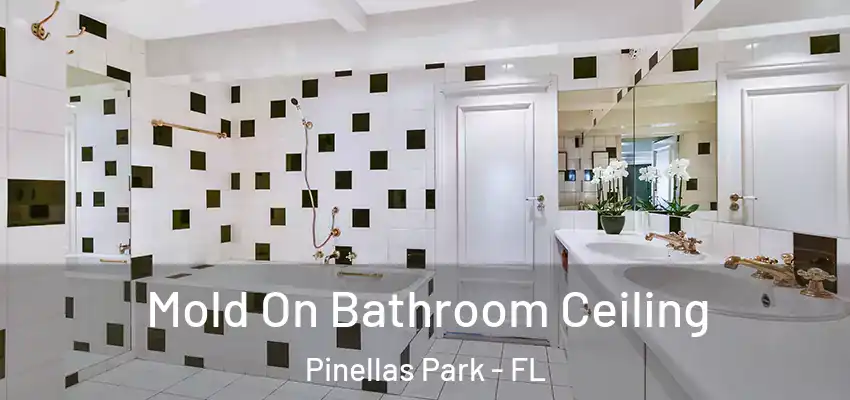Mold On Bathroom Ceiling Pinellas Park - FL
