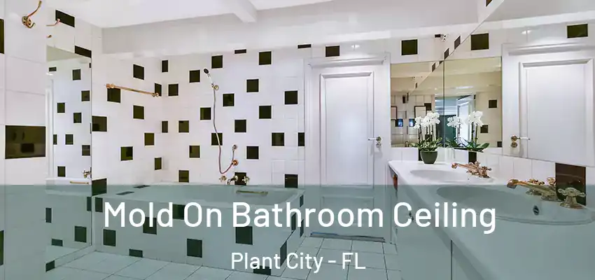 Mold On Bathroom Ceiling Plant City - FL
