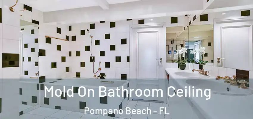  Mold On Bathroom Ceiling Pompano Beach - FL