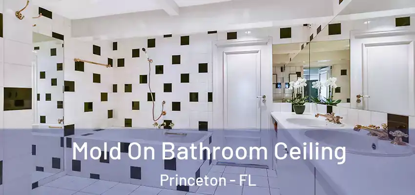 Mold On Bathroom Ceiling Princeton - FL