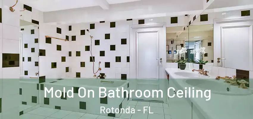 Mold On Bathroom Ceiling Rotonda - FL