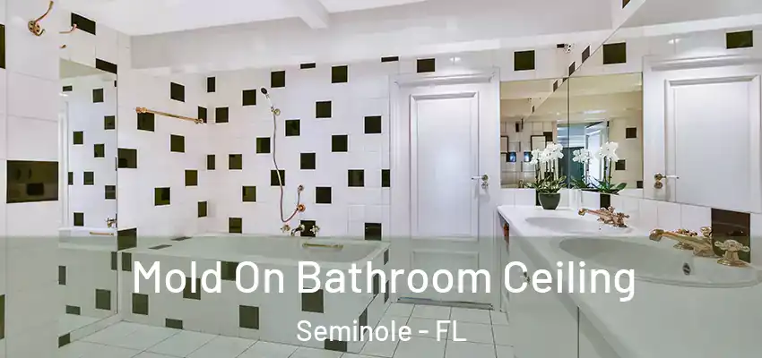 Mold On Bathroom Ceiling Seminole - FL