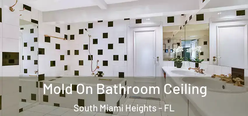  Mold On Bathroom Ceiling South Miami Heights - FL