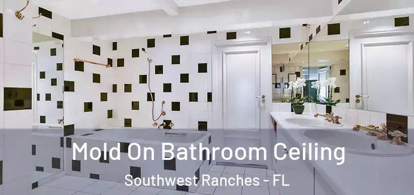  Mold On Bathroom Ceiling Southwest Ranches - FL
