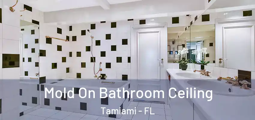 Mold On Bathroom Ceiling Tamiami - FL