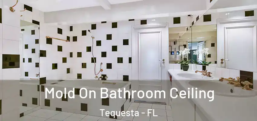 Mold On Bathroom Ceiling Tequesta - FL