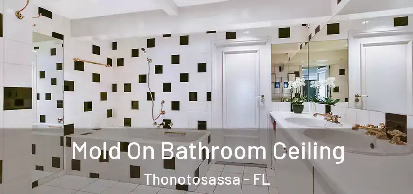  Mold On Bathroom Ceiling Thonotosassa - FL