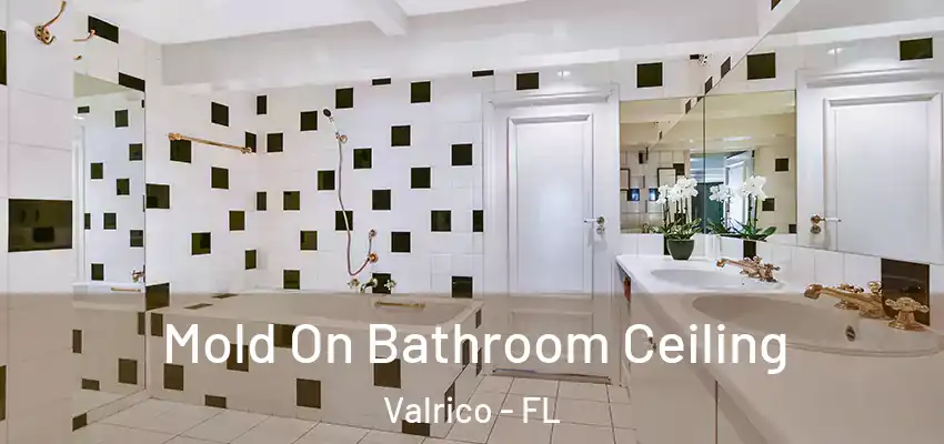 Mold On Bathroom Ceiling Valrico - FL