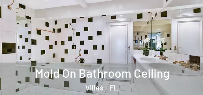 Mold On Bathroom Ceiling Villas - FL