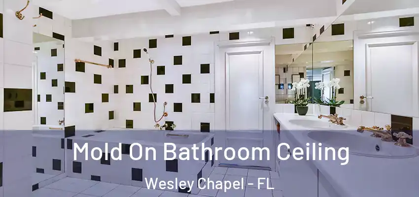  Mold On Bathroom Ceiling Wesley Chapel - FL