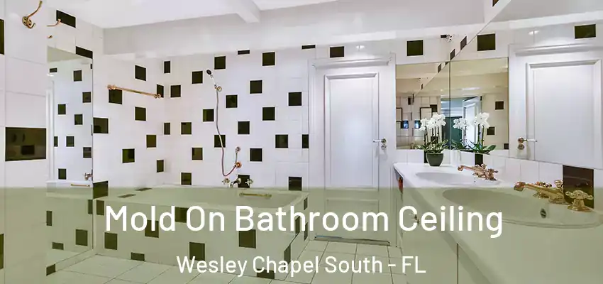 Mold On Bathroom Ceiling Wesley Chapel South - FL