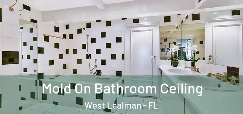 Mold On Bathroom Ceiling West Lealman - FL