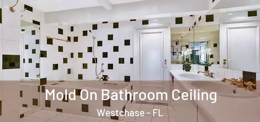 Mold On Bathroom Ceiling Westchase - FL