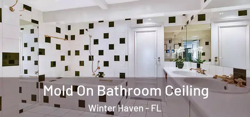 Mold On Bathroom Ceiling Winter Haven - FL