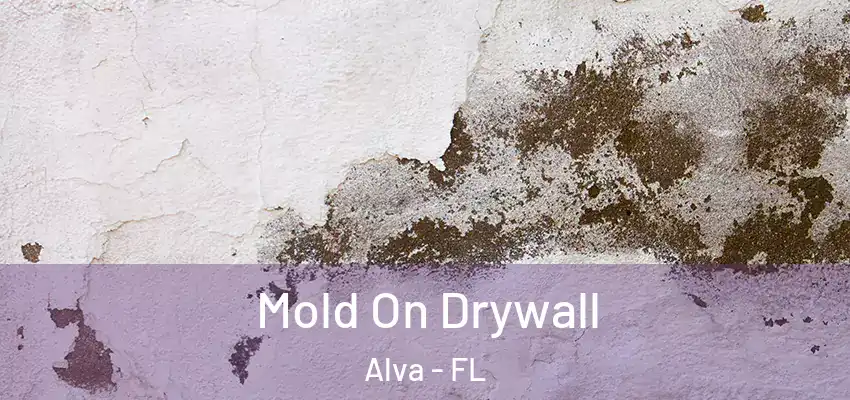 Mold On Drywall Alva - FL