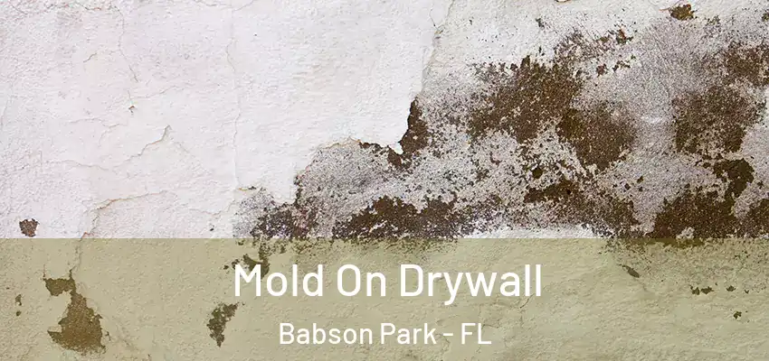  Mold On Drywall Babson Park - FL