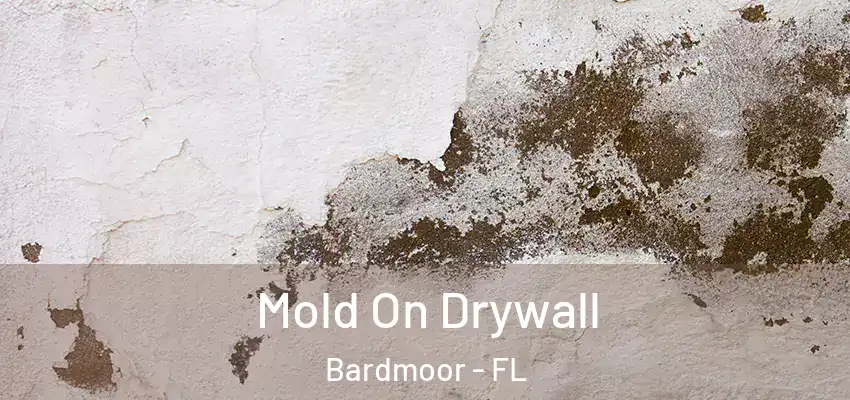  Mold On Drywall Bardmoor - FL