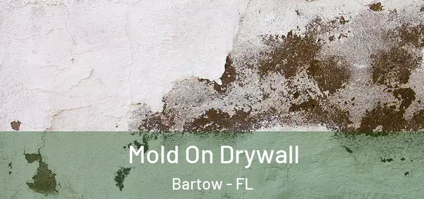  Mold On Drywall Bartow - FL
