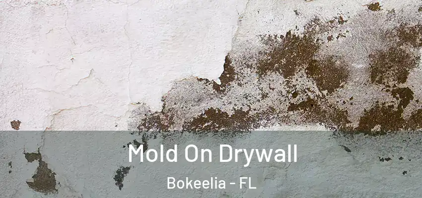 Mold On Drywall Bokeelia - FL
