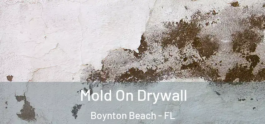  Mold On Drywall Boynton Beach - FL