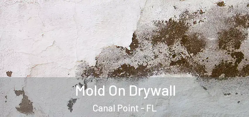  Mold On Drywall Canal Point - FL